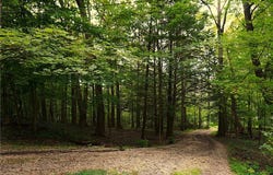1070 Autumn Leaves, Ligonier Twp, PA 15658