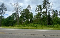 2.66ac HWY 45, Watersmeet, MI 49969