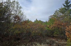 133 Plantation Lane, Brownfield, ME 04010