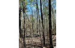 MARTIN LANE, West Monroe, LA 71291