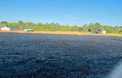 2552 Joseph Lemon Dingle  Rd., Manning, SC 29102