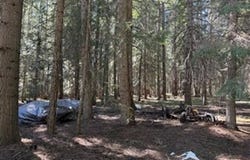 1251 CANYON Rd, Appleton, WA 98602