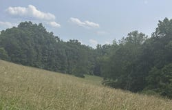 Nursey Rd, Rose Hill, VA 24281