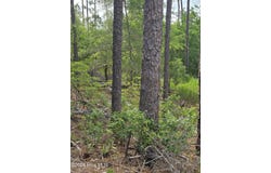 1700 Raeford Road, Southport, NC 28461