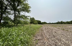 Lot 1 S State Highway T, Springfield, MO 65802