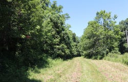 1-A Dog Walk Road, Carlisle, KY 40311