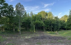 649 Gishton Road, Central City, KY 42330-2143