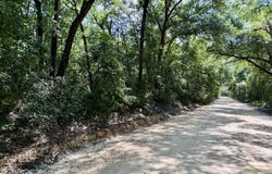 103 acres Westmont Street, Geneva, AL 36340