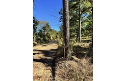 1011 Granny Hollar Road, Atkins, AR 72823