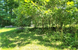 3540 W Hickory Creek Court, Martinsville, IN 46151