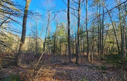 Lot 57.1 Yulan-Barryville Rd, Highland, NY 12791
