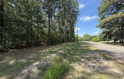 0 Fairway Lane, Hawkinsville, GA 31036