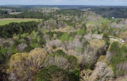 WIND ROW Ln, Bremen, AL 35033