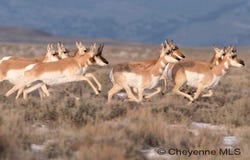 337 BYERLY DR, Rock River, WY 82083