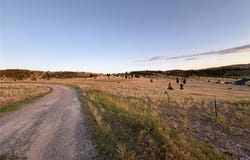 Gregson Lane, Ramsay, MT 59748