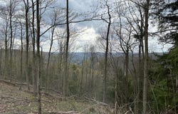 111 ROB ROY ROAD, BRADFORD, PA 16701