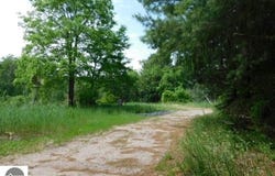 11616 Darragh Road, Mancelona, MI 49646