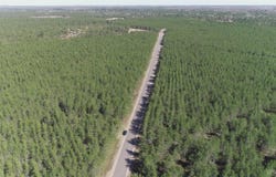 Parcel 4 Rice Lake, Gwinn, MI 49841