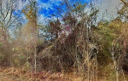 Hwy 129, Claxton, GA 30147