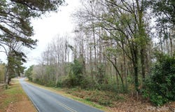 5th Street, Hamlet, NC 28345