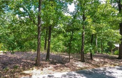 Lots 10 & 11 Fawn Court, Osage Beach, MO 65065