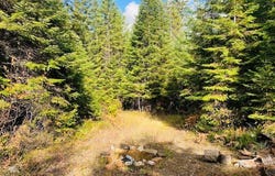 Nhn Pilgrim Creek Road, Noxon, MT 59853