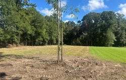 Stepp Road, Robert, LA 70455