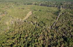 4058 Mcclain Road, Liberty, MS 39645