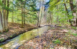 6497 Deer Path, Bellaire, MI 49615
