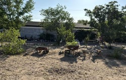 650 Sharon Road, Chino Valley, AZ 86323