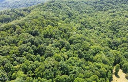 Lick Creek Lane, LaFollette, TN 37766