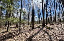 Butternut Lane, Greentown, PA 18426