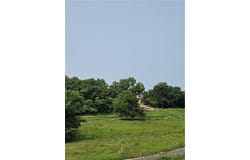Plat 10 Lot 62 Bear Cave Way, Camdenton, MO 65020