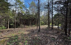 0 CASTLETON FORD, CASTLETON, VA 22716