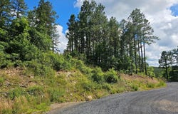 635 Virginia Pine Place, Broken Bow, OK 74728