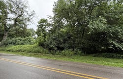 7594 Brickyard Road, Holton, MI 49425