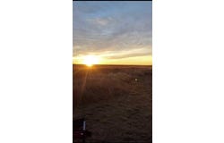 17010 N County Road 1000, Shallowater, TX 79363