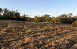 1855 Hannah Rd, Shelbyville, KY 40065