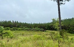 CR 265, BRUCE, MS 38915