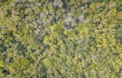PAIGE Avenue, New Smyrna Beach, FL 32168
