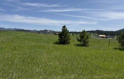 Lot 23 Park Avenue, Custer, SD 57730