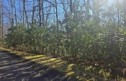 Birchbend, Cleveland, SC 29635