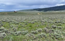 Tract 10 Steel Creek Road, Wisdom, MT 59761