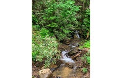 338 Canter Court, Ellijay, GA 30540
