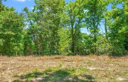 3 acres(Lot 2) 16106 Boundary Line  RD, Garfield, AR 72732