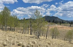636 SHARPS WAY, Como, CO 80432