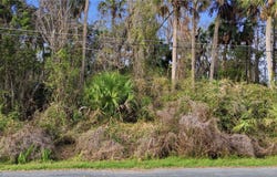 Fox Road, Astor, FL 32102