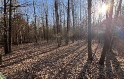 0 shiloh road, Pocahontas, AR 72455