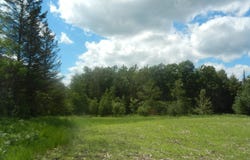 ON MAX RD, Pelican Lake, WI 54463