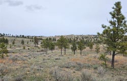 MC-42 Moon Creek Road, Miles City, MT 59301